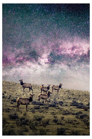 20230418_Elk MW Arch 05