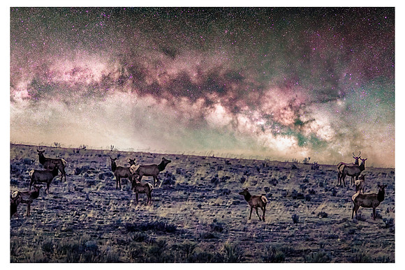 20230418_Elk MW Arch 07