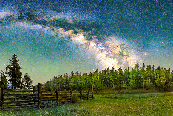 20250529 Wood Corral